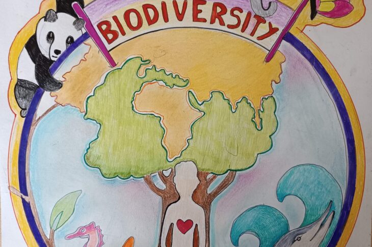 Logo Biodiversity In Our School